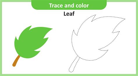 Trace and Color Leaf 2174642 Vector Art at Vecteezy