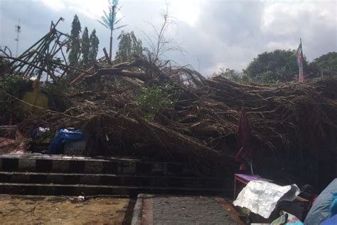 Diterjang Angin Beringin Di Sleman Diy Tumbang Timpa Wahana Bermain