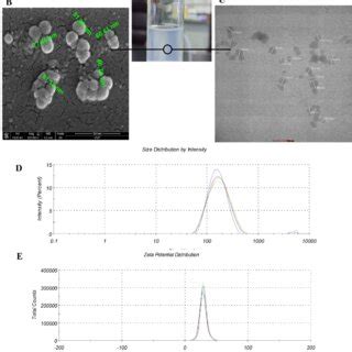 Physical characterization of lipid nanoparticles. (A) Appearance of... | Download Scientific Diagram