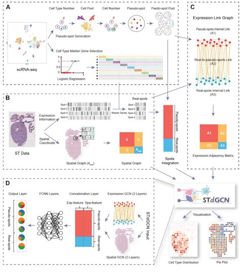 Stdgcn Accurate Cell Type Deconvolution Using Graph Convolutional