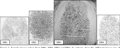 Fingerprint recognition | Semantic Scholar