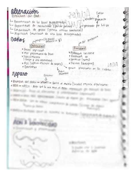 Solution A Cidos Nucleicos Studypool