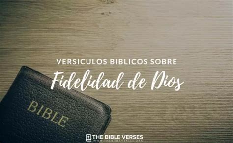 ᐅ 30 Versículos de la Biblia sobre La Fidelidad de Dios