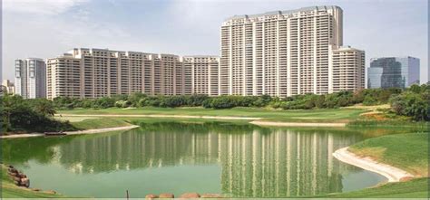 Dlf The Arbour Sector Gurgaon Dlf The Arbour