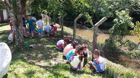 Escola Mundo Encantado Plantio De Girassol