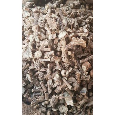 Tinospora Cordifolia Giloy Latest Price Manufacturers Suppliers