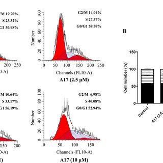 Effects Of A On Cell Cycle Distribution Of Hsc Cells A Cell Cycle