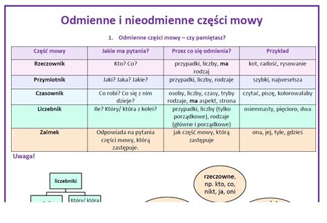 Cz Ci Mowy W Pigu Ce Przed Ezgaminem Z Oty Nauczyciel