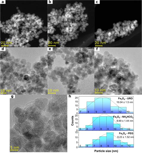 Influence Of The Modifiers In Polyol Method On Magnetically Induced