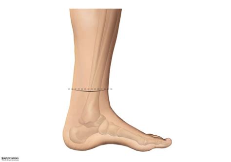 virtual patient case  images