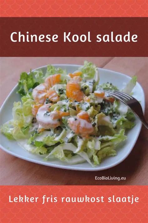 Chinese Kool Salade Met Frisse Dressing