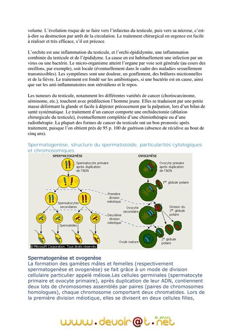 Solution Cours Svt La Fonction Reproductrice Chez L Homme Et La Femme