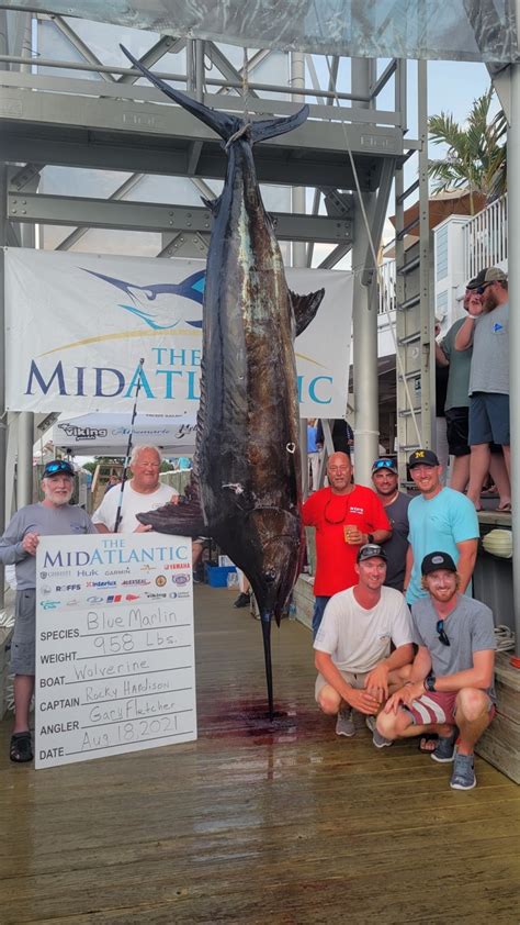 Tournament Record Blue Marlin And A Brace Of Big Eye Tuna Headline Day