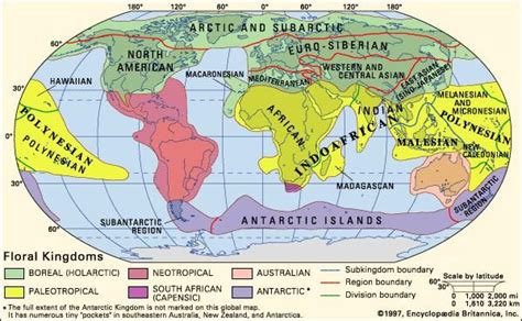 Biogeographic Region The Distribution Boundaries Of Flora And Fauna