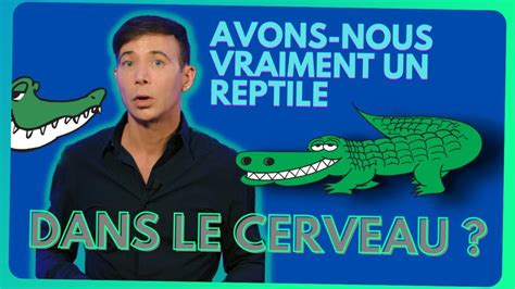 Le Cerveau Reptilien Un Concept Un Peu Trop S Duisant Youtube