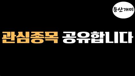 12월15일 관심종목 공유합니다 Youtube