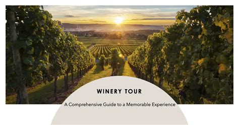 Winery Tour: A Comprehensive Guide to a Memorable Experience