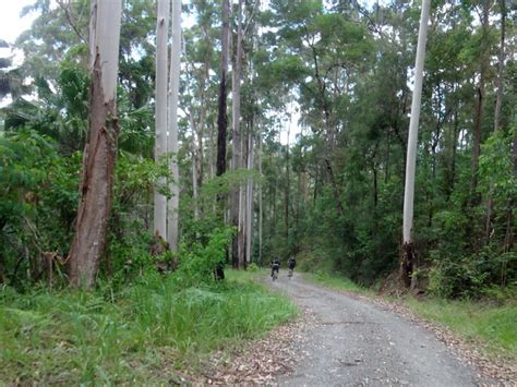 Mount Kilcoy Musings