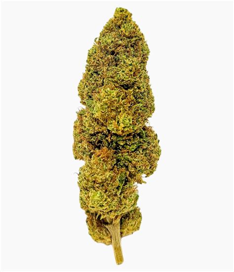 Industrial Hemp Farms | Premium CBD & Hemp Products Online