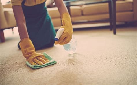 How to wash a carpet at home? - Veseldom