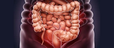 Colon Hydrotherapy At Dubais First Registered Colon Hydrotherapy