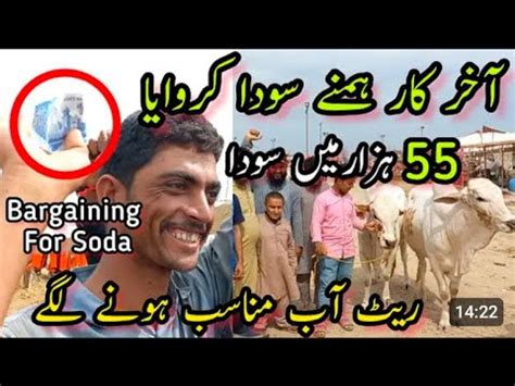 Sodoon Ki Line Lag Gai Mandi Me K Me Behtreen Soda Mandi Sasti