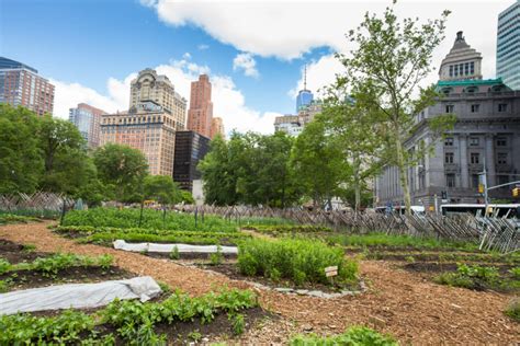 Urban Farming How To Start An Urban Farm Earth