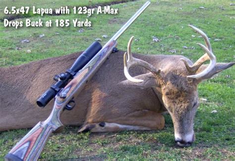 65×47 Lapua Cartridge Guide Within