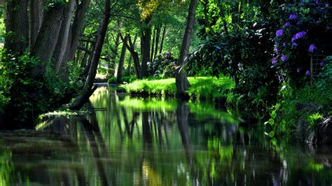 Wallpaper River Water Trees Grass Plants Nature Sunlight