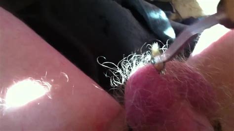 Pinwheel On Balls Gay Man Porn XHamster