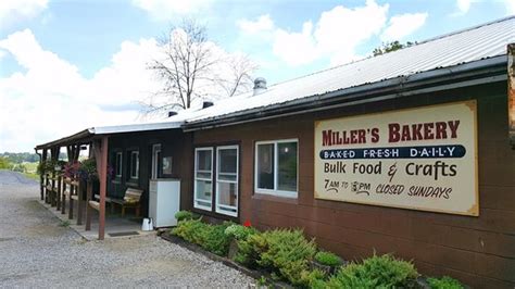 Lemon tarts are luscious! - Review of Miller's Bakery, Millersburg, OH ...