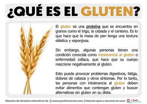 Qué Es El Gluten Definición De Gluten