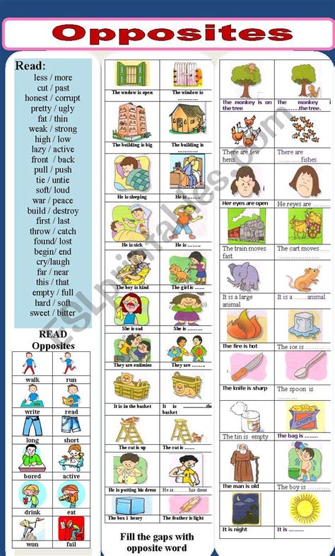 Opposites Esl Worksheet By Jhansi