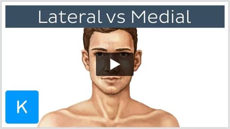 Video Lateral Vs Medial Kenhub