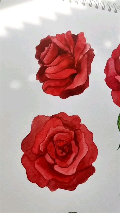 The process of painting a rose in watercolor | Watercolor video ...