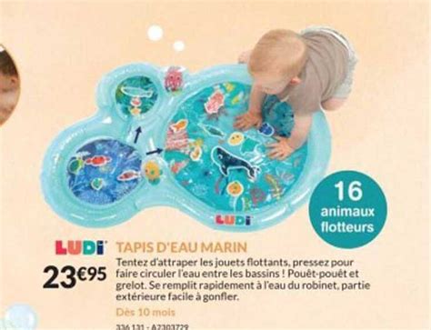 Promo Ludy Tapis D Eau Marin Chez Jouets Sajou Icatalogue Fr