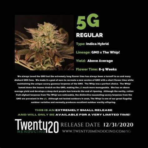 Twenty Genetics G Neptune Seed Bank Cannabis Seeds