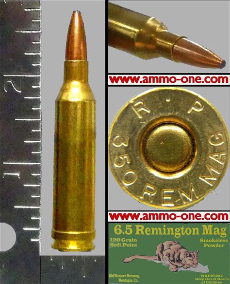 65mm Rem Mag With 350 Rem Mag Hs One Cartridge Not A Box Ammo One1