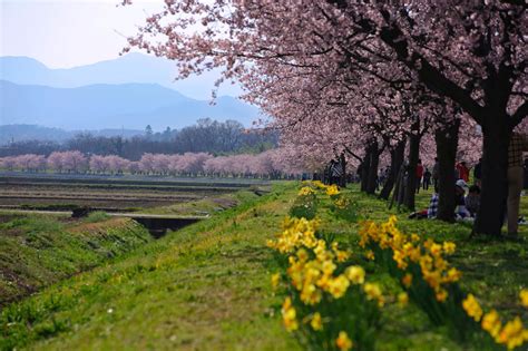 Sakado, Japan 2023: Best Places to Visit - Tripadvisor