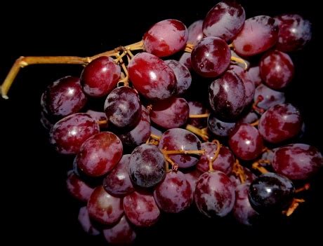 Blue grapes photos free download