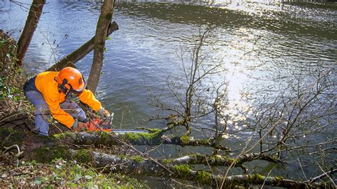 Restauration Et Entretien Des Milieux Aquatiques Conseil