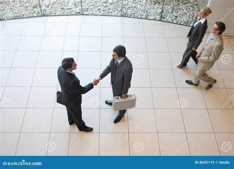 Business Handshakes Stock Image Image Of Businesspeople 8692115