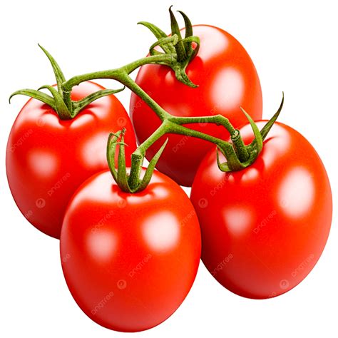 Tomato Varieties PNG, Vector, PSD, and Clipart With Transparent