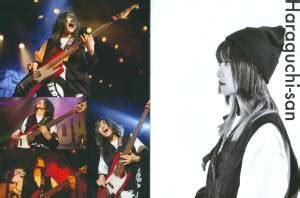 Nemophila Tour Seize The Fate Final At Zepp Divercity Blu Ray