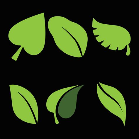 leaf vector collection  vector art  vecteezy