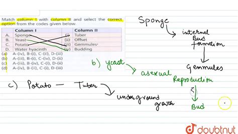 Match Column I With Column Ii And Select The Correct Option From The