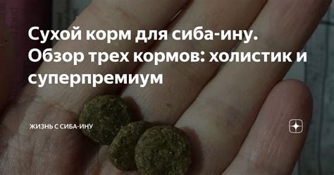 Сухой корм для сиба-ину. Обзор трех кормов: холистик и суперпремиум ...