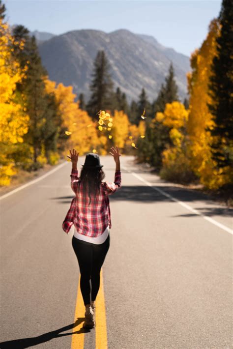 Fall Colors in Mammoth Lakes, California - The Eager Traveler