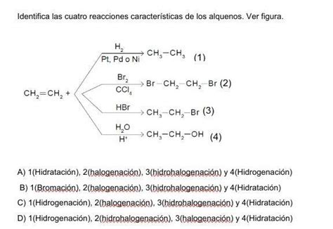 Ayudenme Pliss No Le Entiendo Muy Bien Que Digamos Y Es Para Hoy