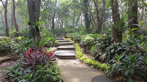 Green Spaces In Metro Manila That You Need To See Before Theyre Gone